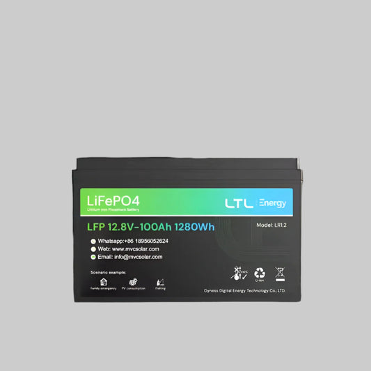 Dyness 1,28kW Li-Ion Battery 100Ah - Bluetooth Model