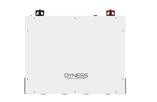 Dyness DL5.0C V2 5.12 kWh Li-Ion Battery (1C) 2025