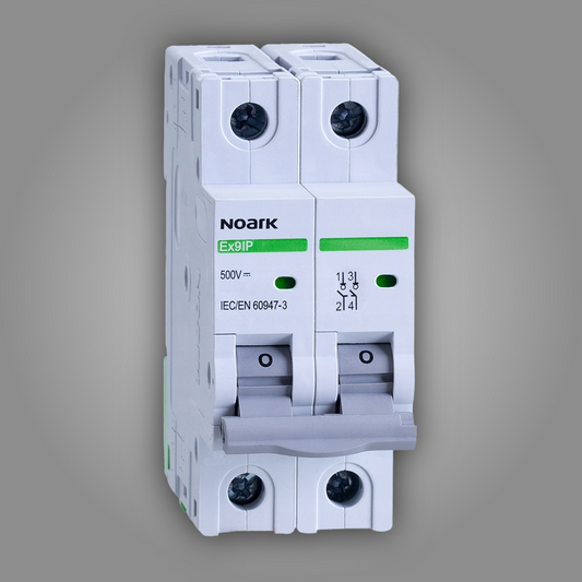 Noark 32A 2P Circuit Breaker 500V - Greenwattsa