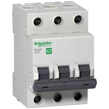 Schneider 63A Circuit Breaker - Greenwattsa