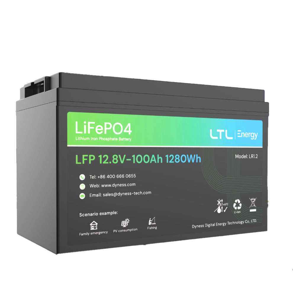 Dyness 1,28kW Li-Ion Battery 100Ah