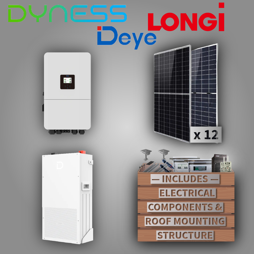 Deye 6kW 1P Inverter + Dyness 14.3kWh Powerbrick + 12 Panels